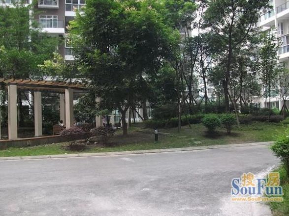 鱼凫阳光实景图