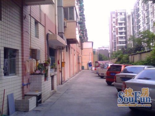 双流顺兴苑实景图