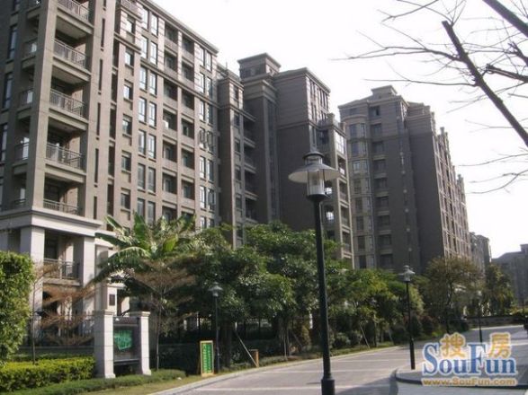 东方高尔夫公寓实景图