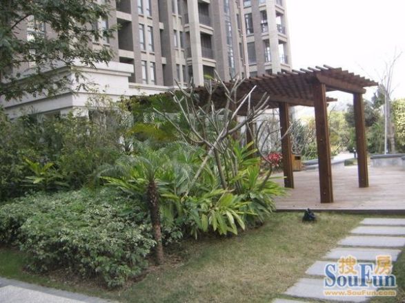 东方高尔夫公寓实景图