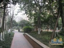 碧林 4室2厅 东南