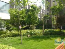 一楼跃层共两层,全采光实得300平,前后花园有车位