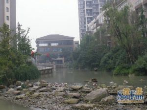 春天大道3室2厅南