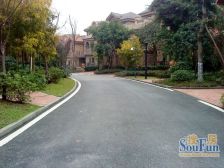 中安长岛 5室3厅 东南