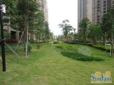 楼层好,视野开阔,望花园,无遮挡,装修新,保养好,