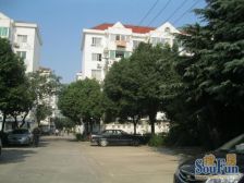 杨园二村1室1厅南北