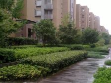 边套双阳台!带产权车位 大虹桥板块 人车分流小区