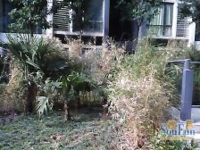 经开区 恒基翔龙江畔六房148万