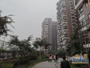 龙锦2室2厅西南
