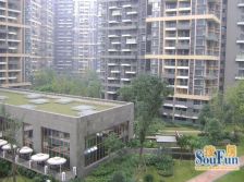 华润凤凰城一期 4室2厅 南 北