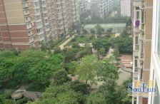 蜀都花园 1室1厅 南