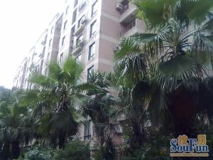 顶复两层单价低诚意出可望江
