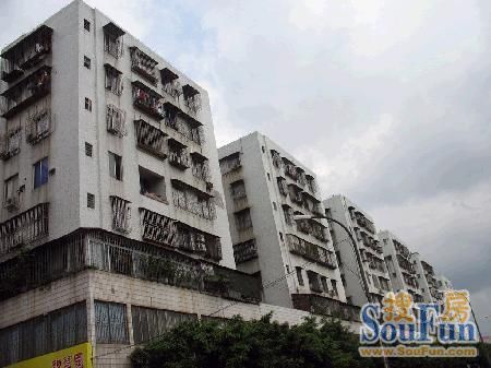 南一小区实景图