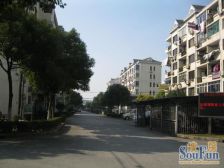 杨园三村1室1厅南