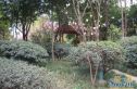 欣河苑实景图