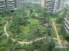 华润凤凰城一期 3室2厅 西