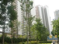 天府名居2室1厅南