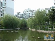 第五大道1室1厅南