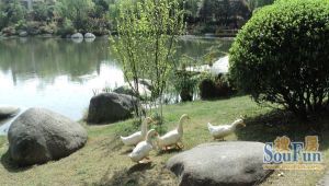 万科双水岸 4室2厅 东南