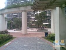 清水河畔1室1厅东南