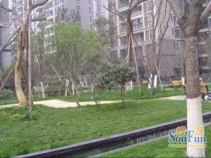 铸信境界 3室2厅 东