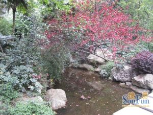 花样年花郡3室2厅西