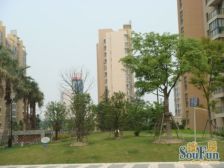 中星怡景花园 1室2厅 南