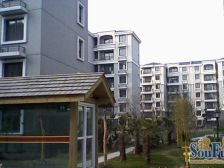 上海新政放开 社保满一年就能买 南北通户型 电梯高区