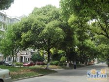 豪都四期2021年装修中 央空调带地暖,满五年唯 一