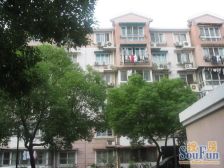 近地铁,现场实勘 新上房源