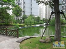 中环内,送200平地下室,带50平院子,精装3房,诚心卖。