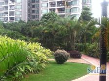 第三金碧花园2室东北朝向285.00万元/套出售