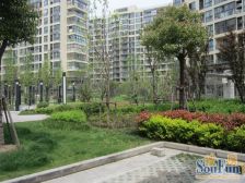 江桥 · **城市公寓 · 2室 · 1厅