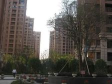 无抵押 中间楼层,随时看房 业主诚意