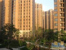 中环国际公寓三期2室南朝向550.00万元/套出售