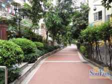 电梯大四房 厅大房大 南向望花园 保养新净 拎包入住