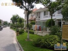 杨思前滩+纯别墅区+中环内+大花园+精装修+金色中环