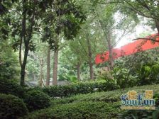 渝中区双轻轨 业主诚心 小区绿化好 看房方便