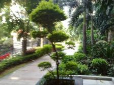 信义怡翠豪园 2室2厅 东