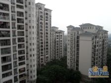 保利花园中层采光通风好