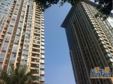 金茂礼都1室1厅东北