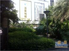 金茂礼都2室1厅东南