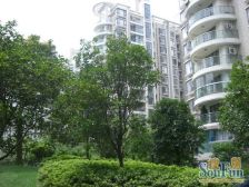 古美罗阳·南方城·3室·2厅