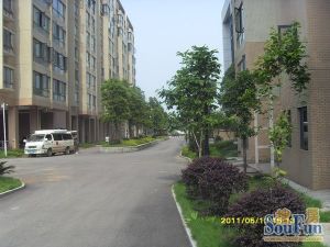 新上滨江北岳银欣苑精装两房诚心卖随时看房