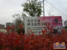 园林式小区,自住装修保养好,业主诚心