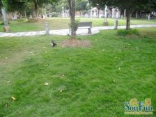 御墅花园公寓5室南朝向3500.00万元/套出售