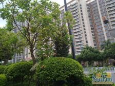 诚心出售 小区中间位 精装3房 满五年无欠款价格可谈