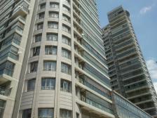 人车分流品质大平层,视野无无遮挡,六十平大横厅,有车库,有露