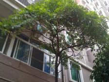 莲花住宅区,价格可谈,满五唯一,看房提前预约!