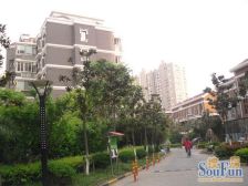 阳光威尼斯(四期)(公寓) 3室2厅 南 北